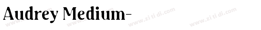 Audrey Medium字体转换